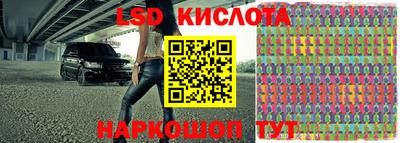 мет Кингисепп
