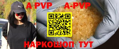 мет Кингисепп