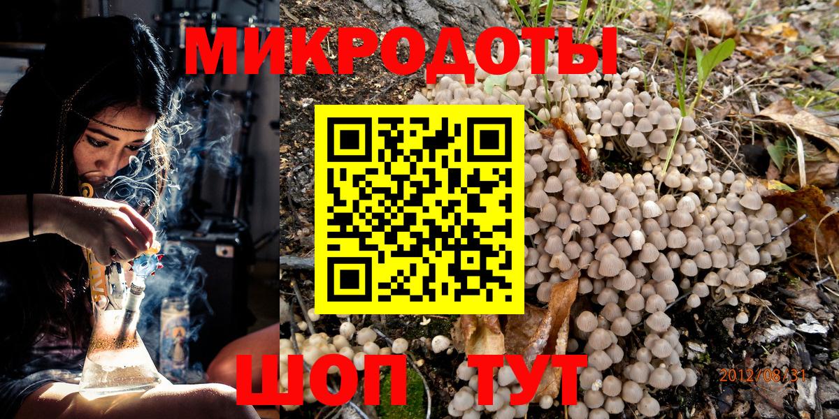 Псилоцибиновые грибы Psilocybine cubensis Уссурийск